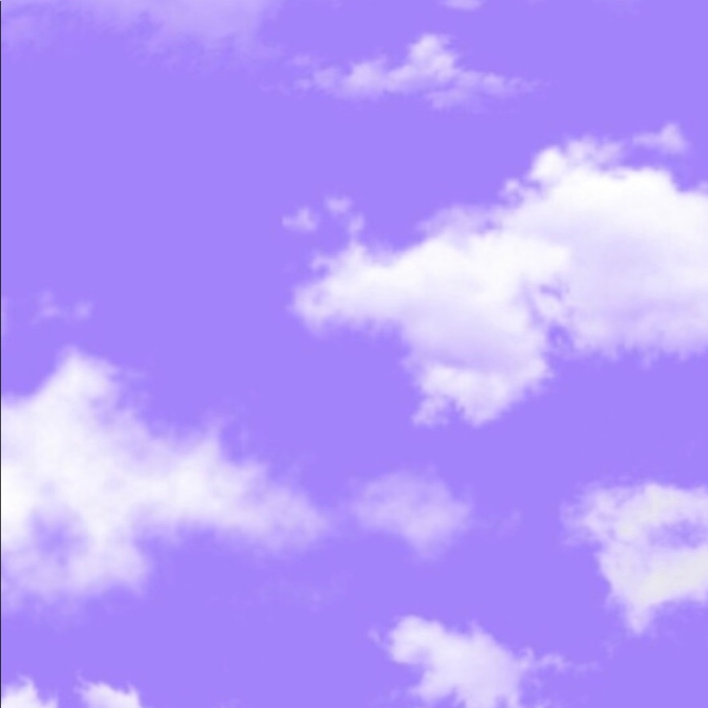 Meet your Posher, Ava